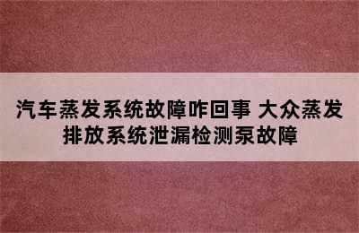 汽车蒸发系统故障咋回事 大众蒸发排放系统泄漏检测泵故障